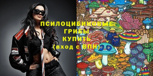 альфа пвп Алексеевка